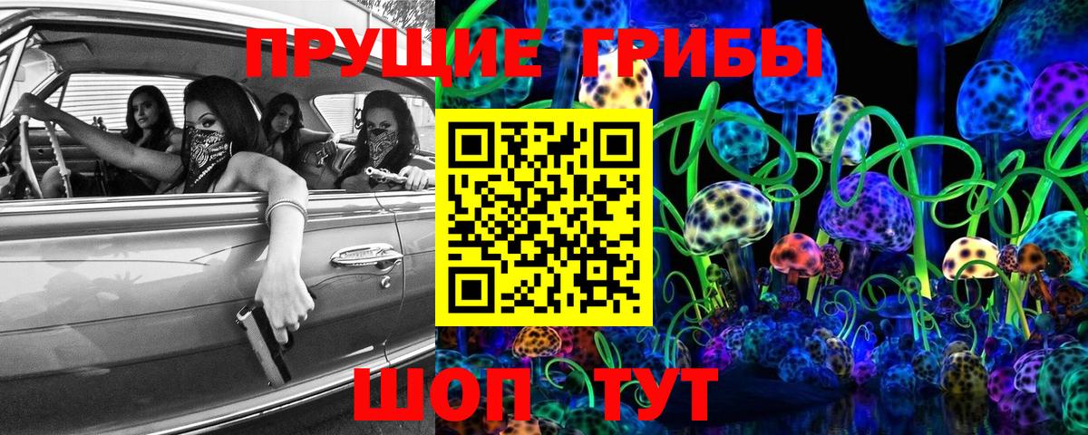Галлюциногенные грибы Psilocybine cubensis Ялта